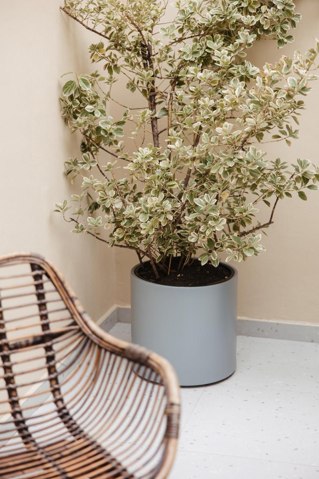 Greygreen By Holistay Tirana Exterior foto