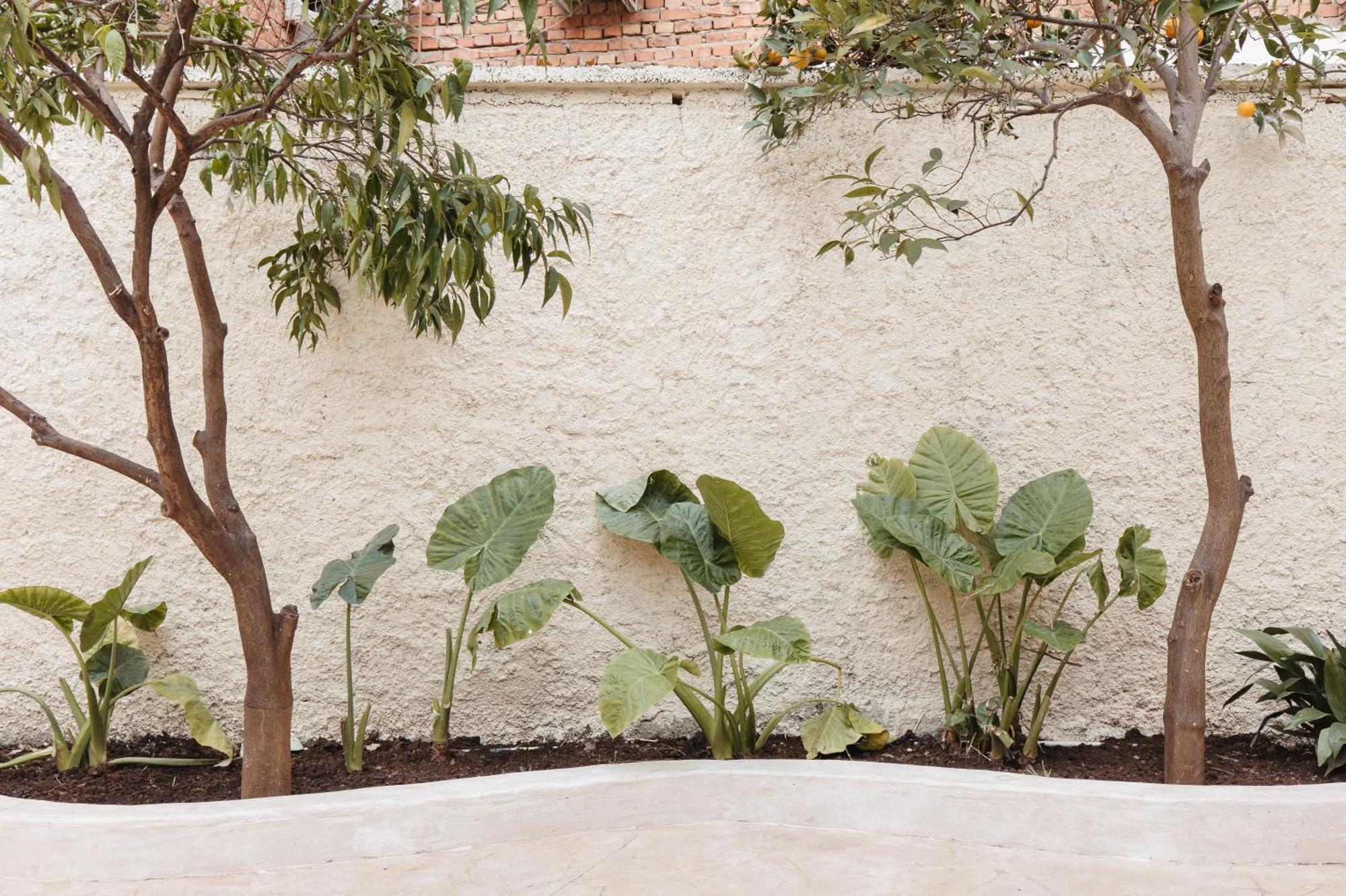 Greygreen By Holistay Tirana Exterior foto
